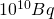 10^{10} Bq