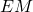EM