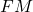 FM