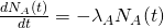 \frac{dN_A(t)}{dt} = -\lambda_A N_A(t)
