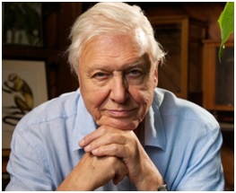 Read more about the article डेव्हिड अटेनबरो ( David Attenborough)