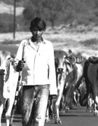 Read more about the article कैकाडी (Kaikadi)
