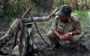 प्राणी गणना (Animal census)