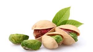 पिस्ता (Pistachio)