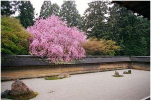 Read more about the article रायऑन-जी (Ryōan-Ji)