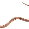 अंकुशकृमी (Hookworm)