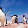 अंटार्क्टिका (Antarctica)