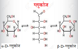 Read more about the article ग्लुकोज (Glucose)