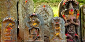 नागपूजा (Nagpuja)