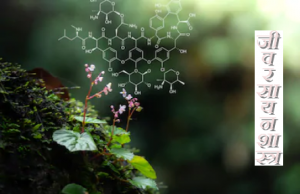 Read more about the article जीवरसायनशास्त्र (Biochemistry)