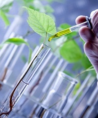 Read more about the article जैवतंत्रज्ञान (Biotechnology)