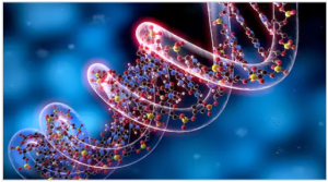 Read more about the article जीनोम (Genome)