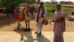 नंदीवाले (Nandiwale)