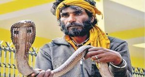 Read more about the article गारूडी (Garudi)