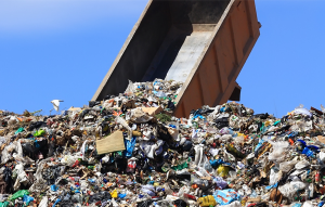 घन कचरा (Solid waste)