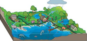 Read more about the article जलोत्सारण व्यवस्थापन (Watershed management)