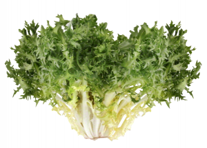 Read more about the article चिकोरी (Chicory)