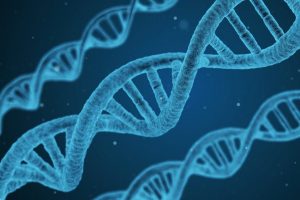 Read more about the article जनुक (Gene)