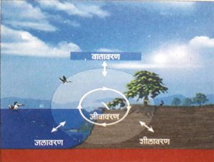 Read more about the article जीवावरण (Biosphere)