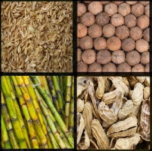 Read more about the article जैव वस्तुमान (Biomass)