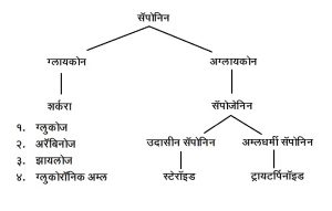 सॅपोनिन (Saponin)