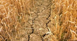 Read more about the article कृषी प्रदूषण (Agricultural pollution)