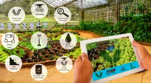 Read more about the article अब्जांश तंत्रज्ञानाचे कृषीक्षेत्रामधील उपयोग (Application of Nanotechnology in Agriculture)