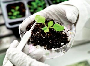 अब्जांश तंत्रज्ञानाचे कृषीक्षेत्रातील उपयोग : प्रस्तावना (Nanotechnology in Agriculture)