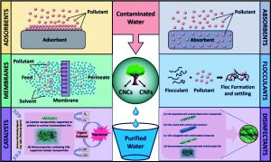 अब्जांश तंत्रज्ञान : पर्यावरण संरक्षण, प्रतिबंध आणि नियंत्रण (Nanotechnology : Environmental Protection, Prevention & amp; Control)