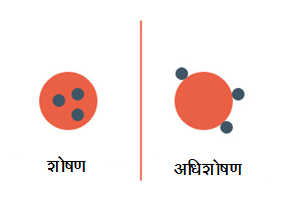 अधिशोषण (Adsorption)