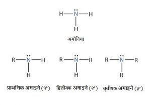 अमाइने (Amines)