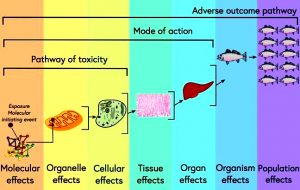 अब्जांश पदार्थ विषशास्त्र (Nanotoxicology)