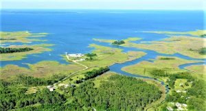 Read more about the article चेसापीक उपसागर (Chesapeake Bay)