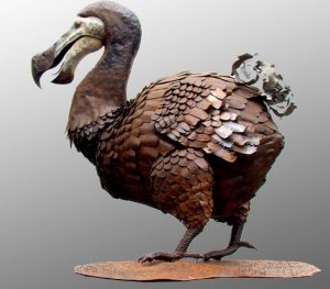 Read more about the article डोडो (Dodo)