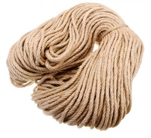 Read more about the article ताग (Jute)