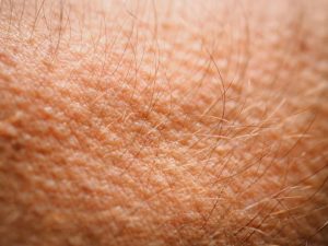 Read more about the article त्वचा (Skin)