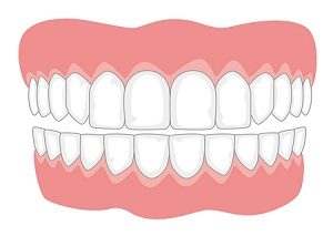 Read more about the article दात (Teeth)