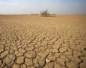 Read more about the article दुष्काळ (Famine)