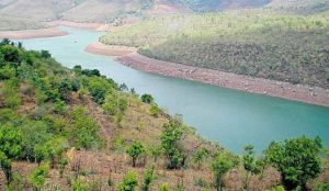 Read more about the article नदी परिसंस्था (River ecosystem)