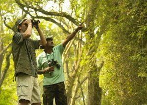 पक्षी निरीक्षण (Bird Watching)