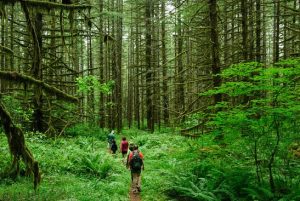 Read more about the article परिपर्यटन (Ecotourism)