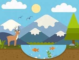 Read more about the article परिसंस्था (Ecosystem)