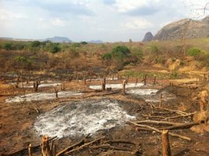 पर्यावरण अवनती (Degradation of environment)