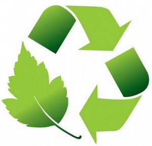 Read more about the article पर्यावरण व्यवस्थापन (Environment management)