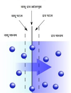 अभिशोषण (Absorption)