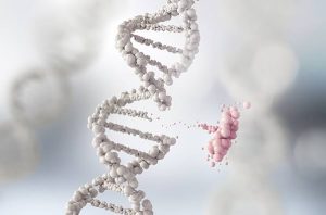 उत्परिवर्तन (Mutation)