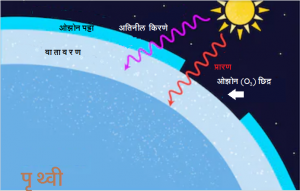 ओझोन अवक्षय (Ozone depletion)