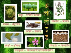 अल्कलॉइडे (Alkaloids)