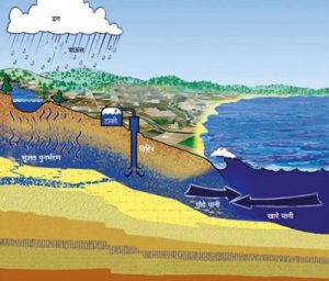 अध:पृष्ठीय जल (Sub-surface water)