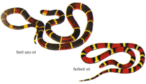 अनुकारिता (Mimicry)